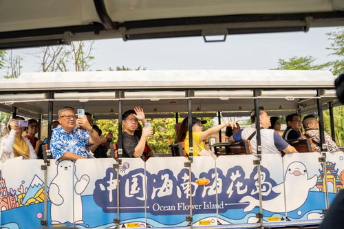 去年,這個國家來海南旅游人數同比增長超33倍