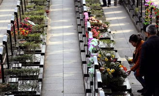 仁懷市民清明祭掃警示 使用此類冥幣將面臨最高5萬(wàn)元罰款